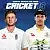 Cricket 19
