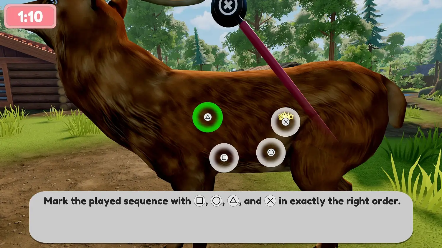 Sophia’s Animal Clinic - Mission Wildlife Park