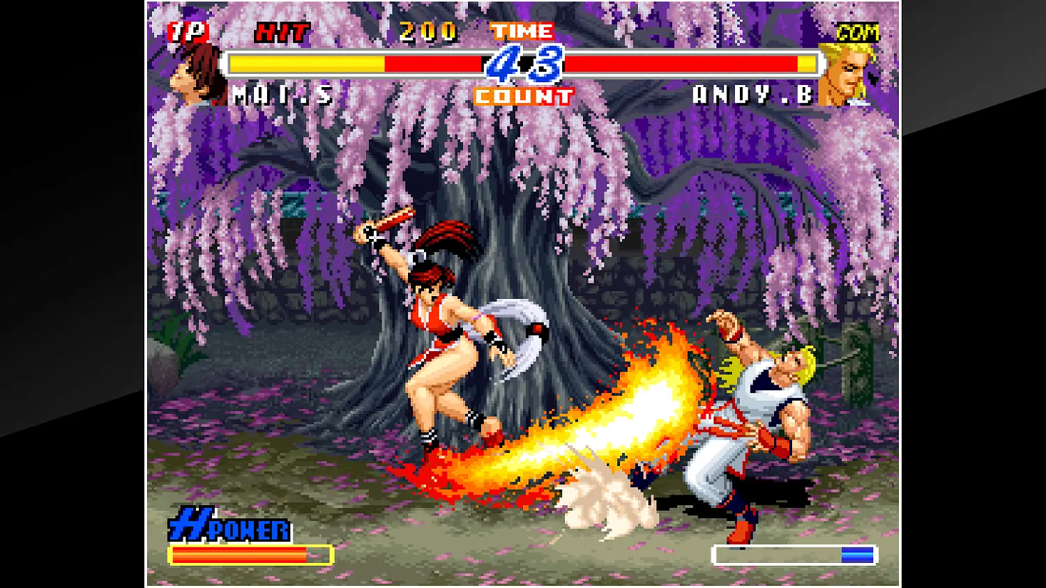 ACA NEOGEO REAL BOUT FATAL FURY 2