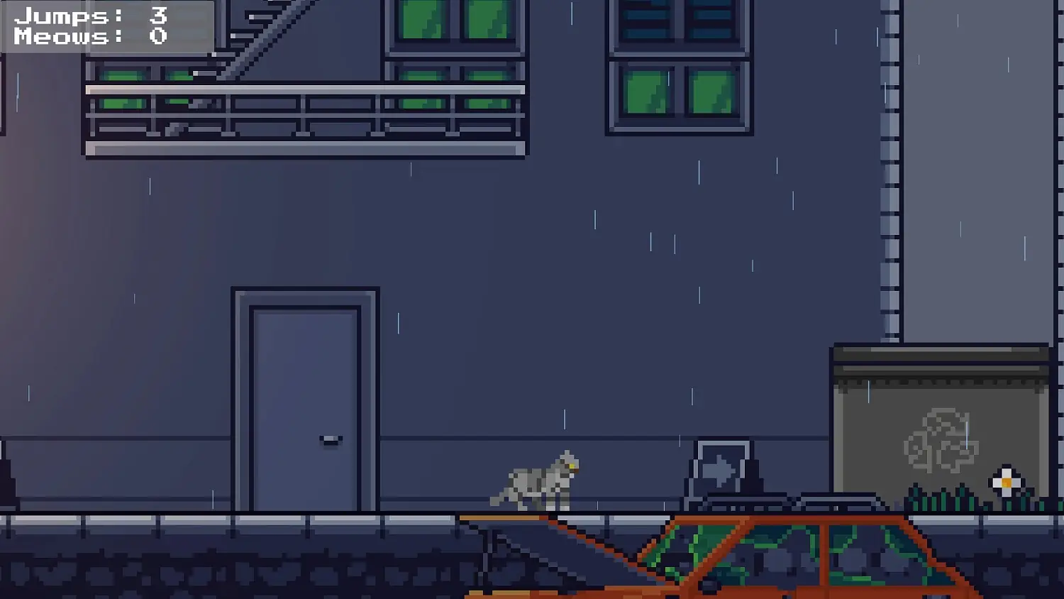 Rooftop Rascal: The Drizzle Cat