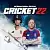 Cricket 22