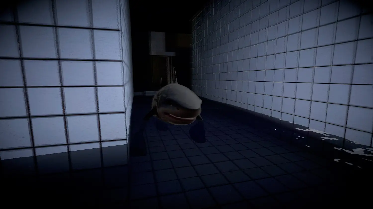 TRALALERO TRALALA BACKROOMS POOLS