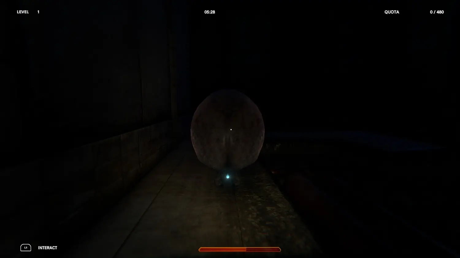 A Blackout Protocol Report