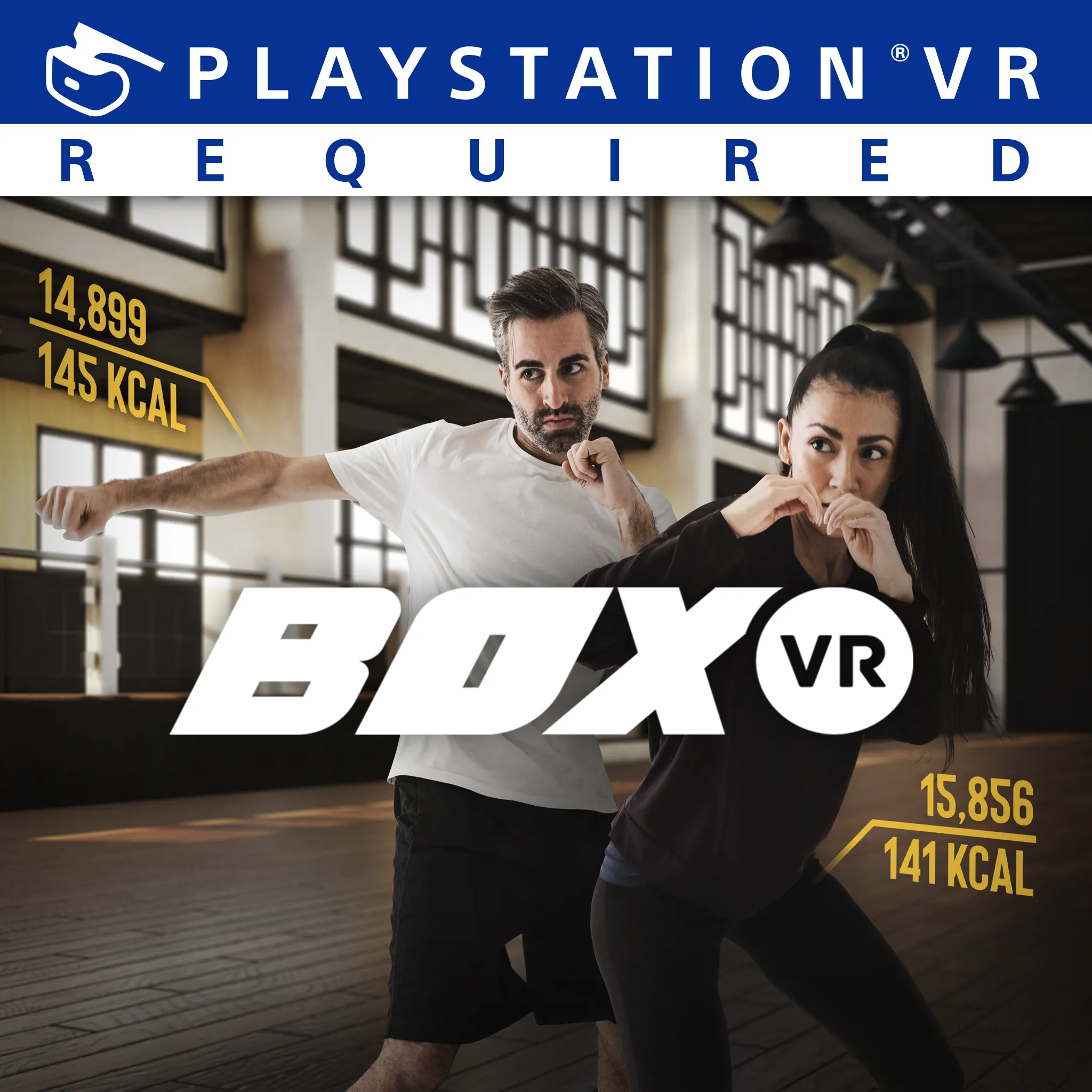 BoxVR
