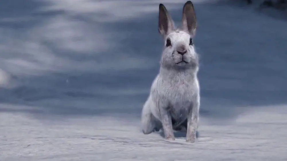 PlayStation dice que "cualquier juego puede ser un clásico navideño", pero muchos no creen que el cordyceps sea el mejor ejemplo