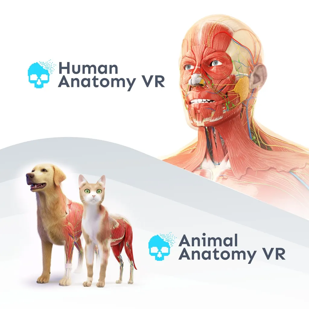 Human Anatomy VR