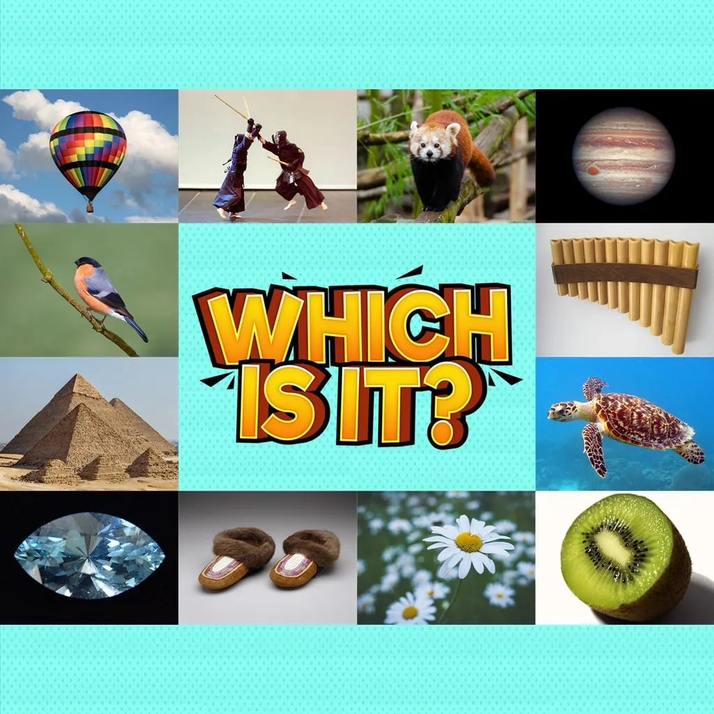 ¿Cuál es?