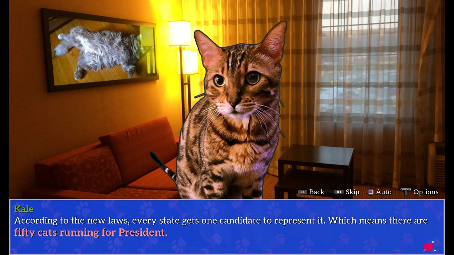 Cat President: A More Purrfect Union