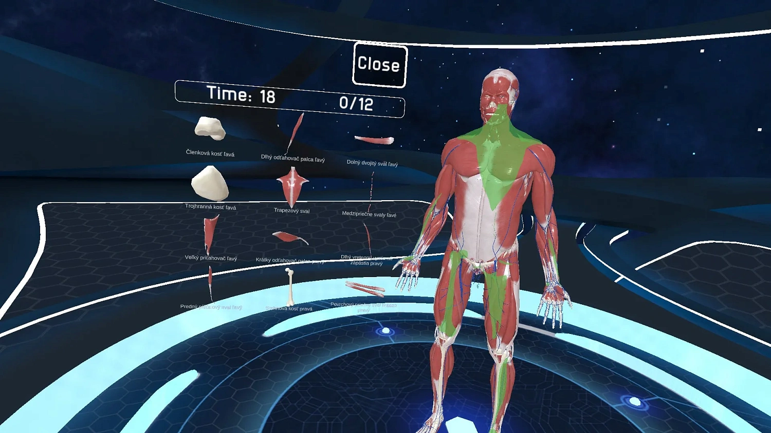 Human Anatomy VR