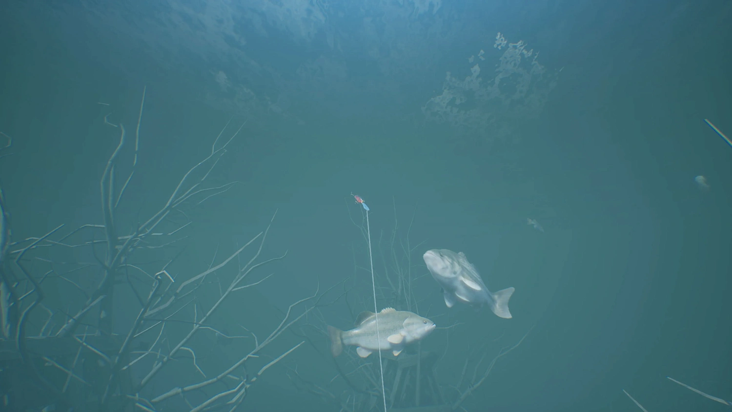 Bassmaster® Fishing 2022 PS4™ and PS5™