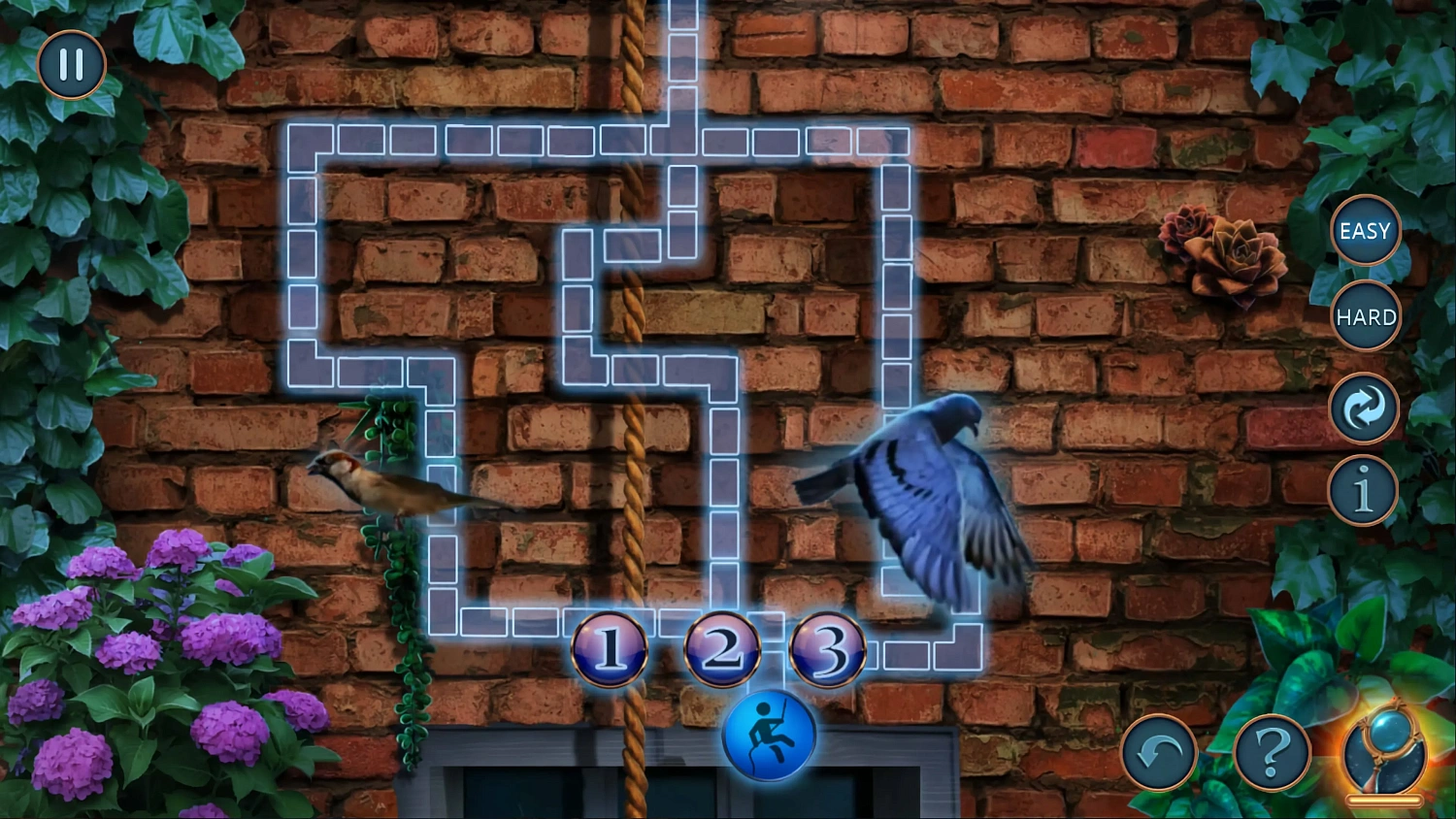 Unsolved Case Series