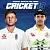 Cricket 19