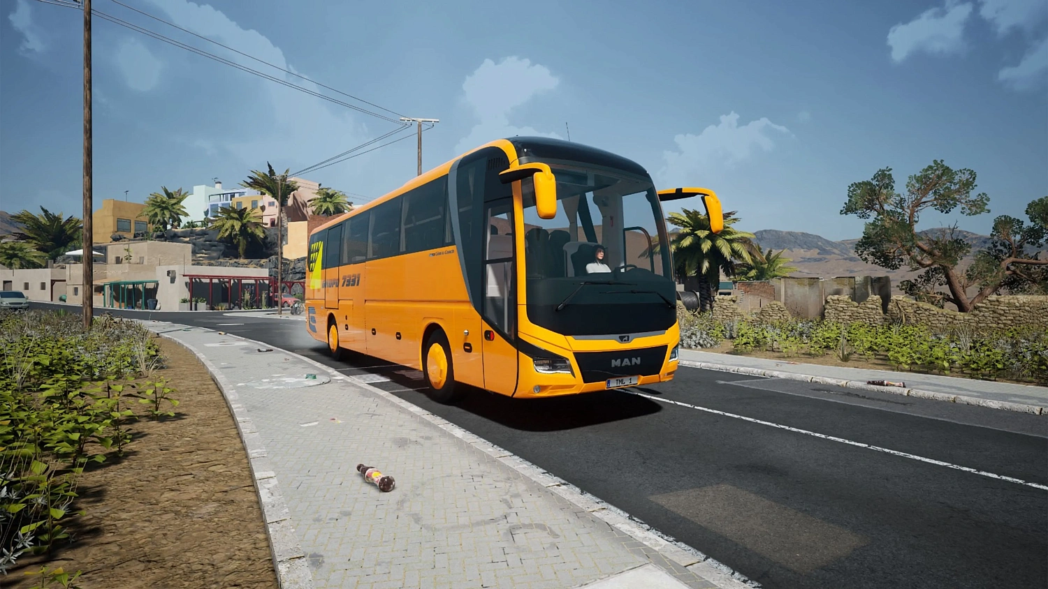 Fernbus - Coach Simulator