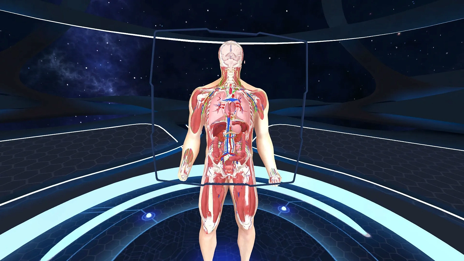 Human Anatomy VR