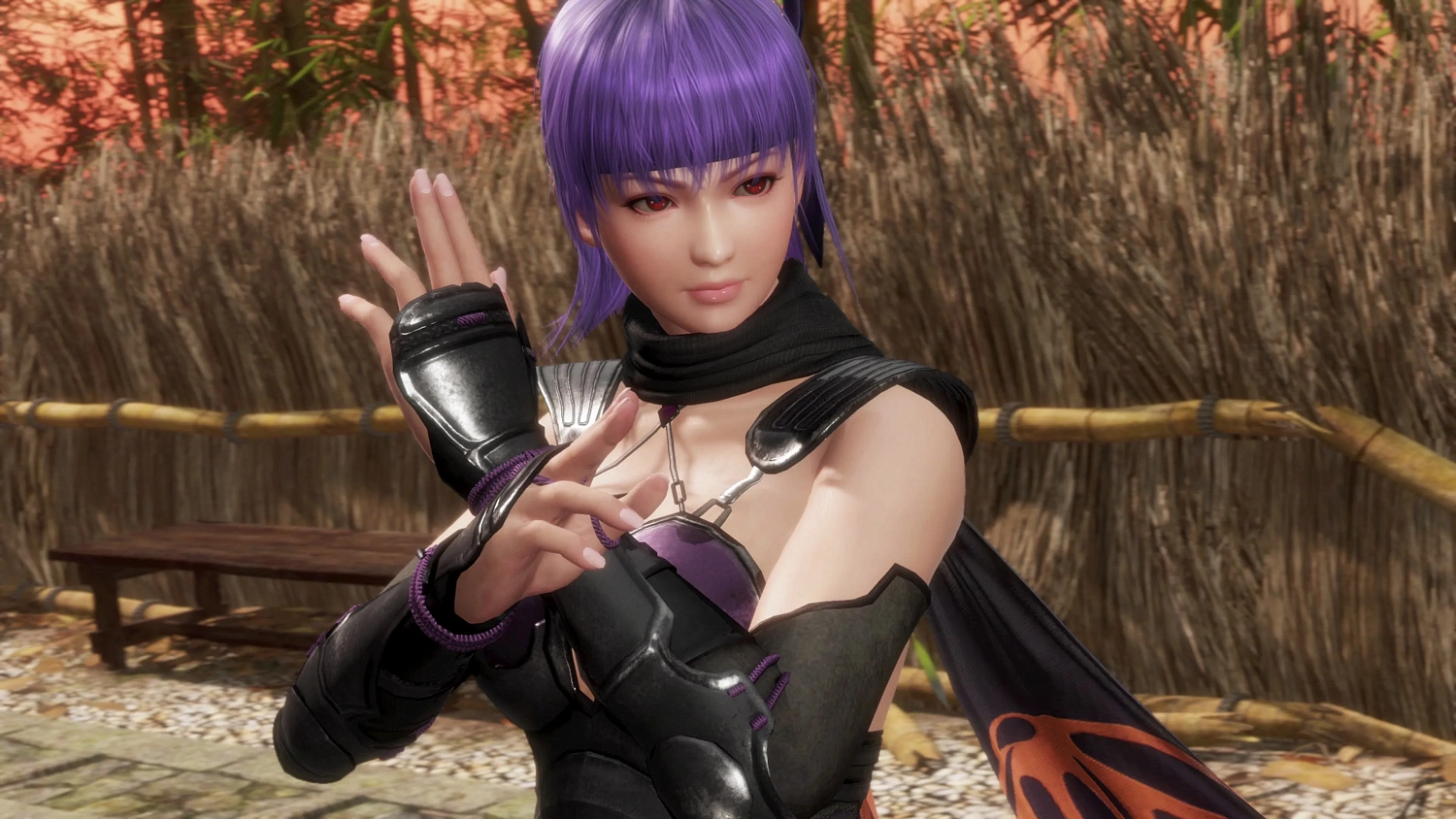DEAD OR ALIVE 6