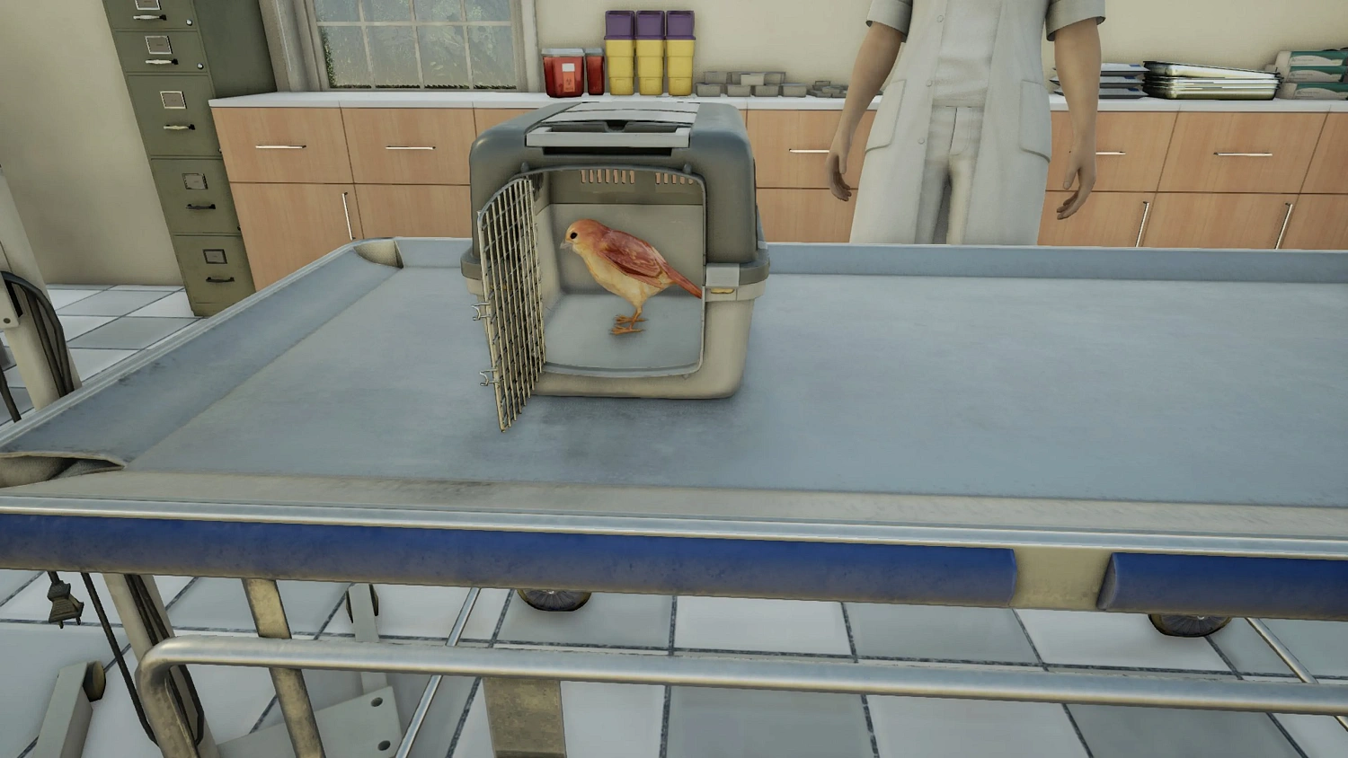 Animal Doctor
