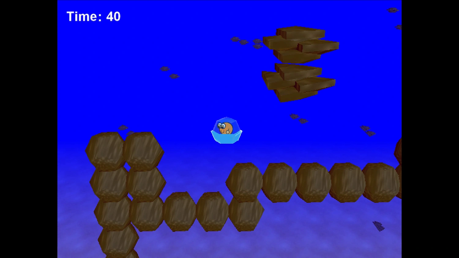 Zippy the Circle (Level 5, Level 6, and Level 7)