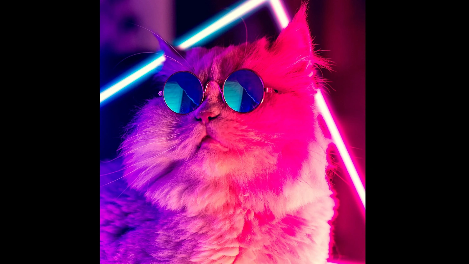 Brain In Retro Space