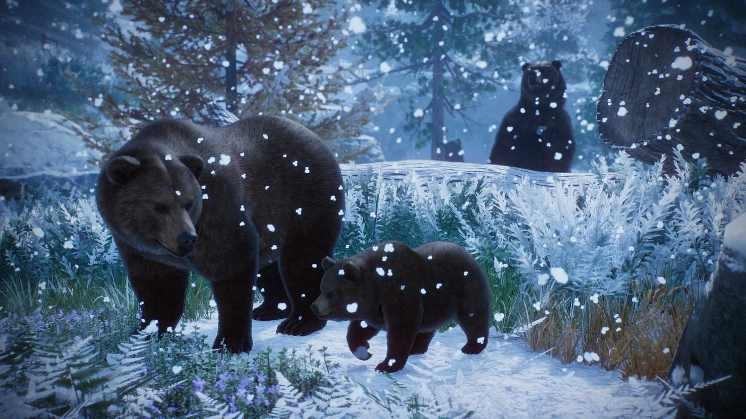 Planet Zoo:  Edición para consola