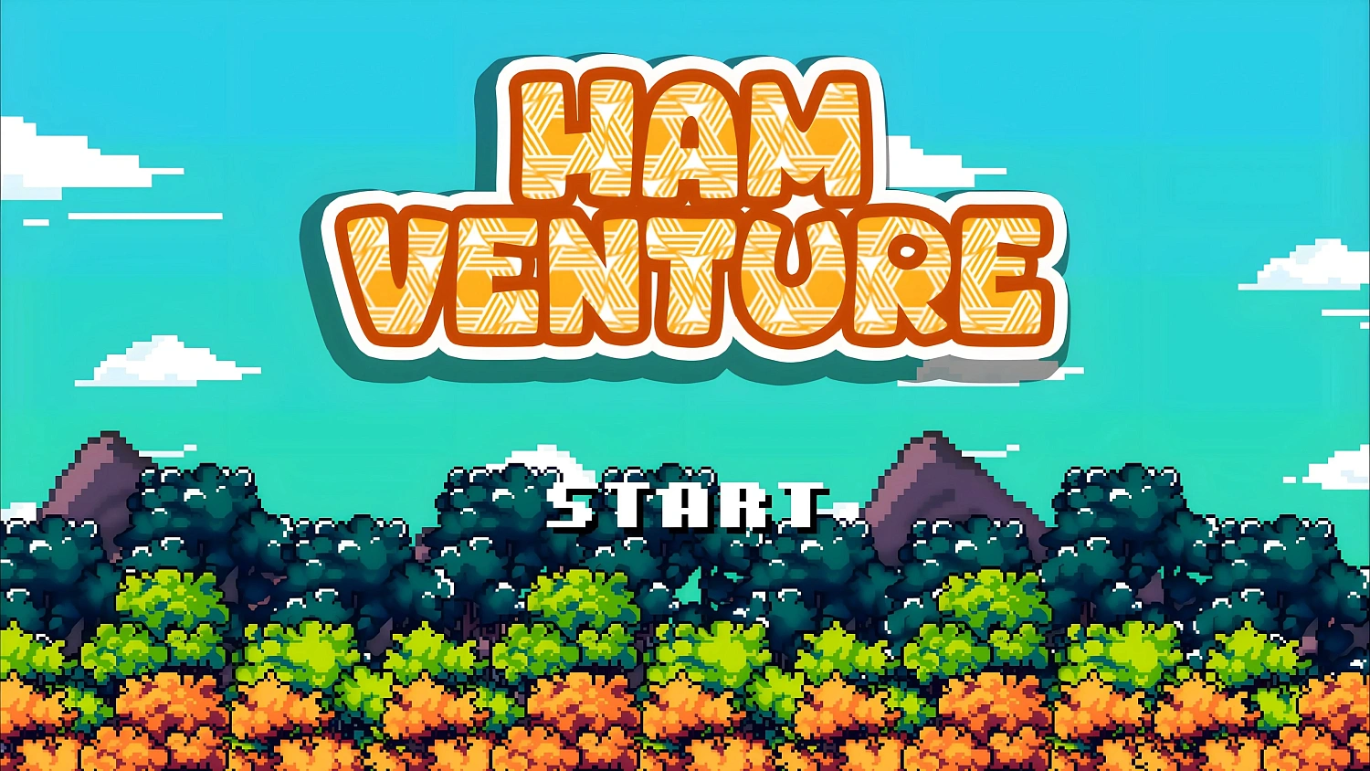 HAMVENTURE