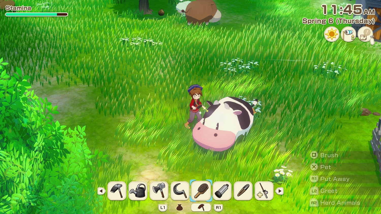 STORY OF SEASONS: Grand Bazaar