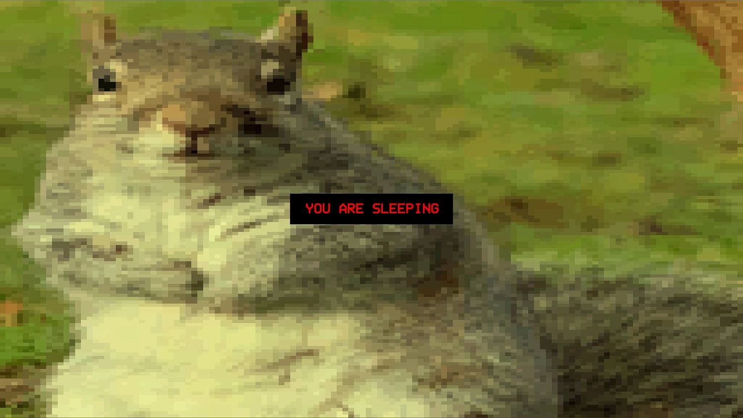 Grapadora de ardilla