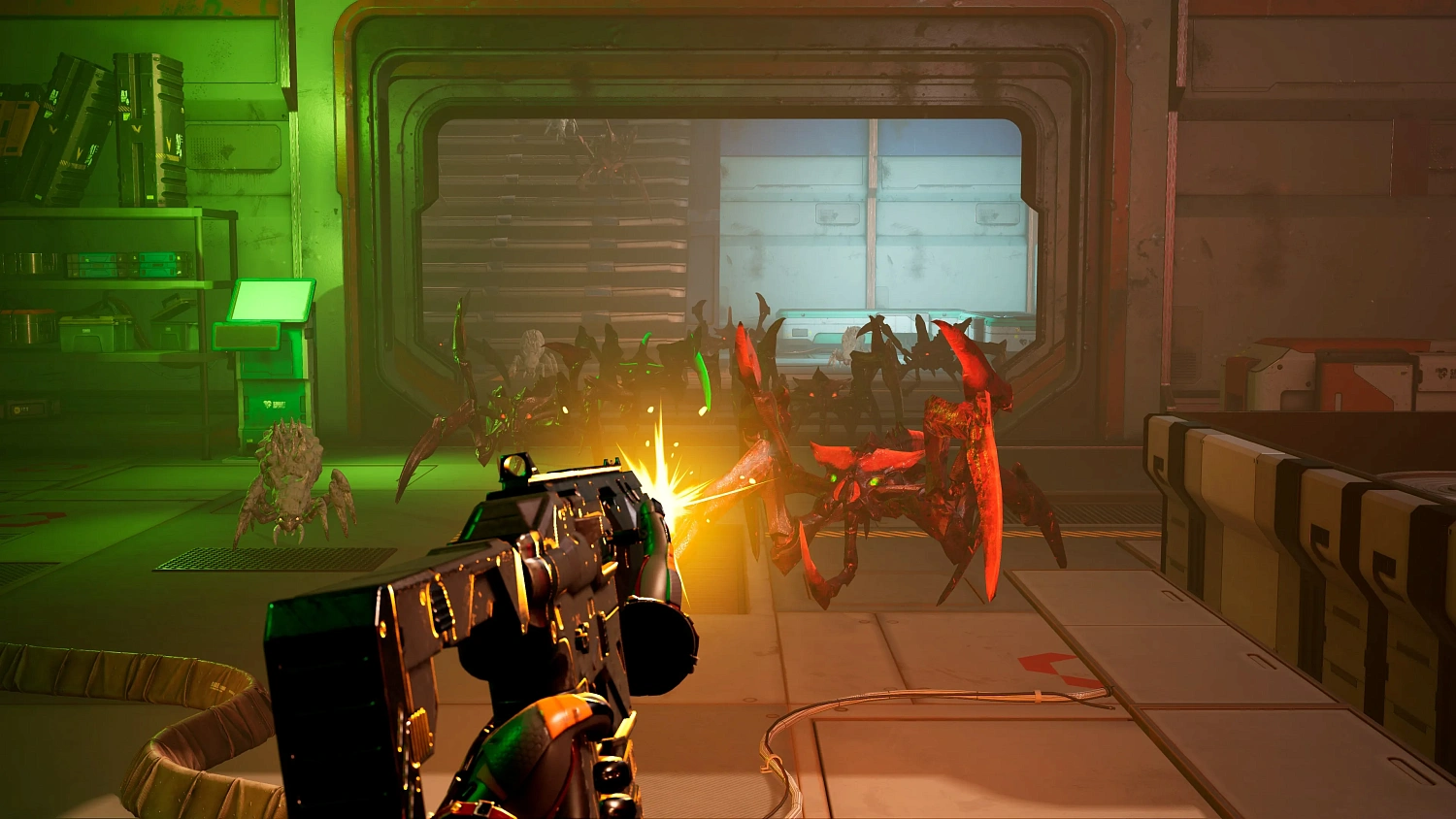 The Long Survival