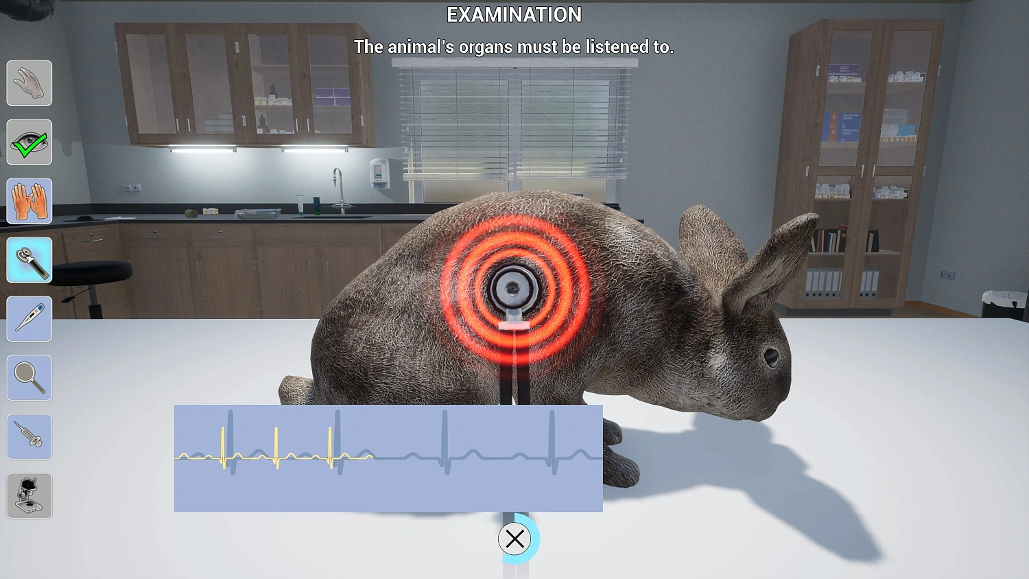 Mi Vida: Veterinario de Mascotas