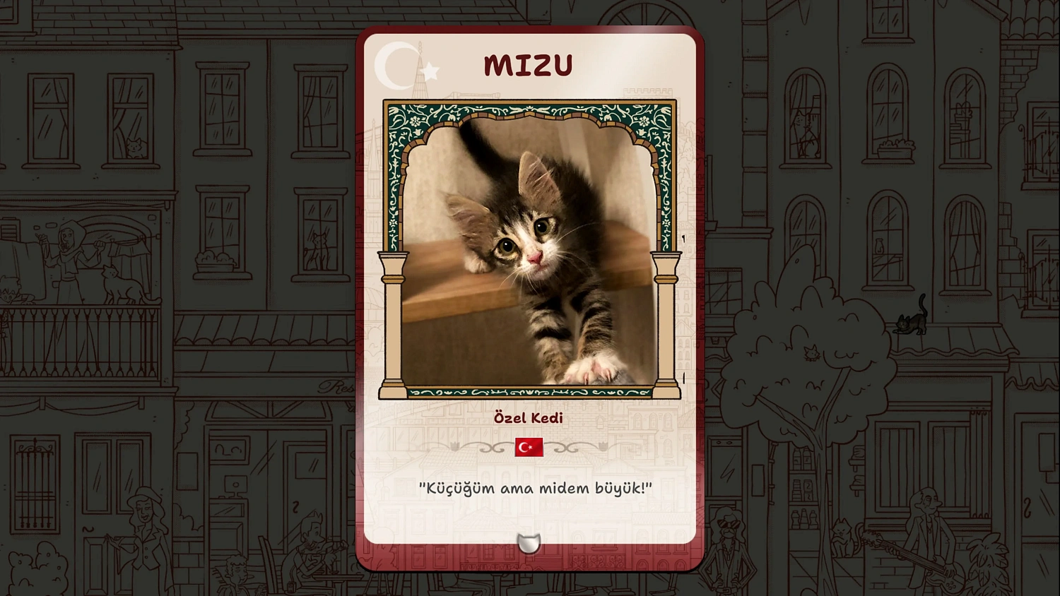 Hidden Cats in Istanbul