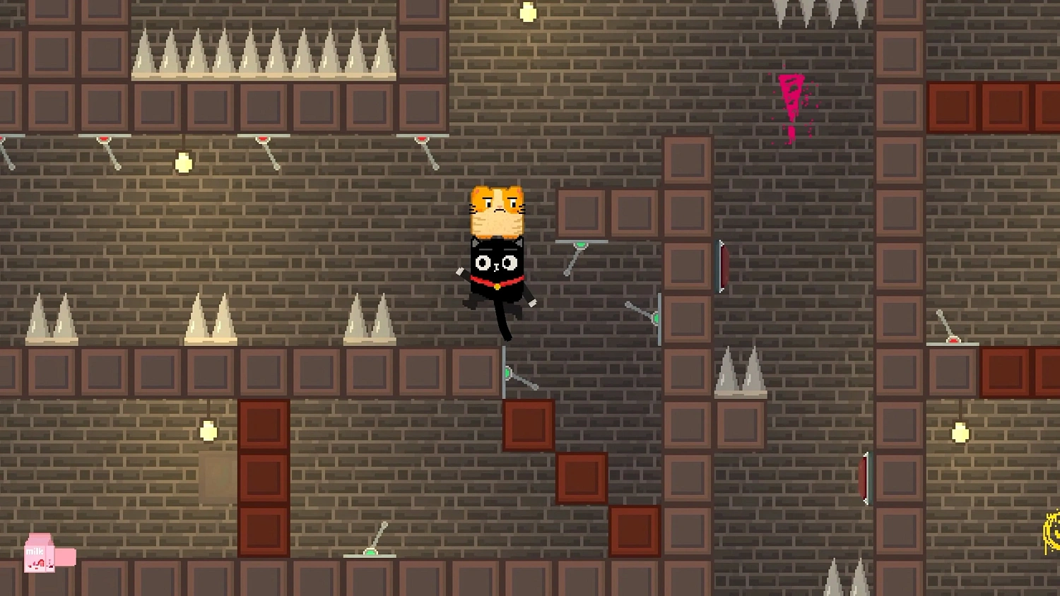 Super Long Cat