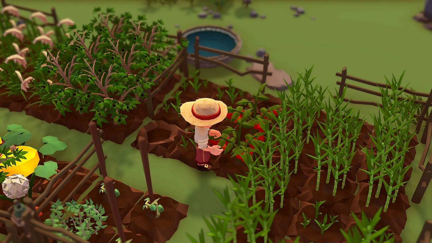 Stranded Sails: Explorers of the Cursed Islands