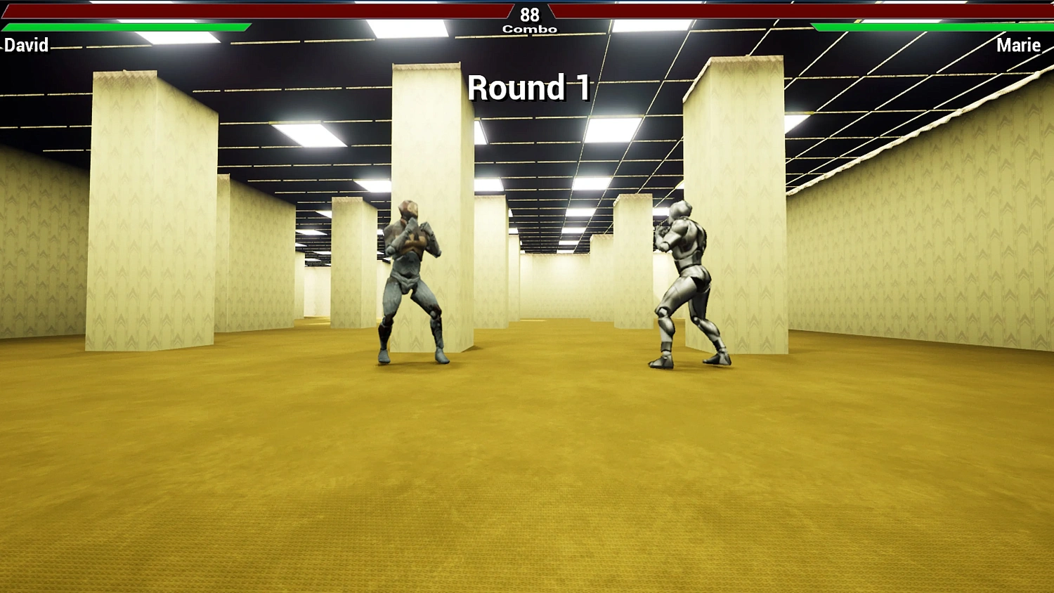 Deadly Combat