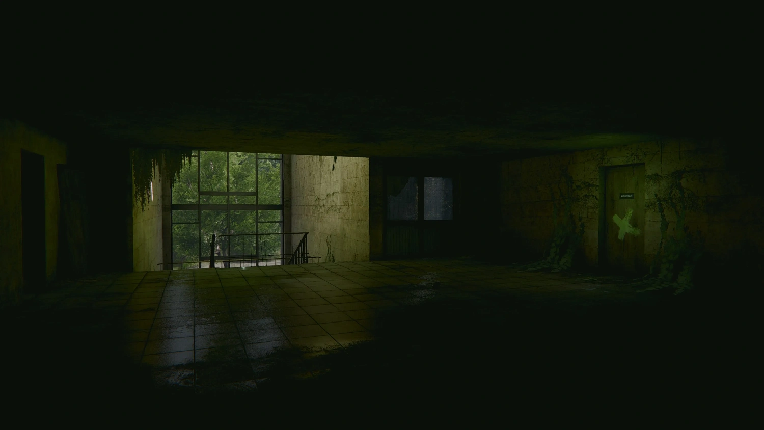 In rays of the Light