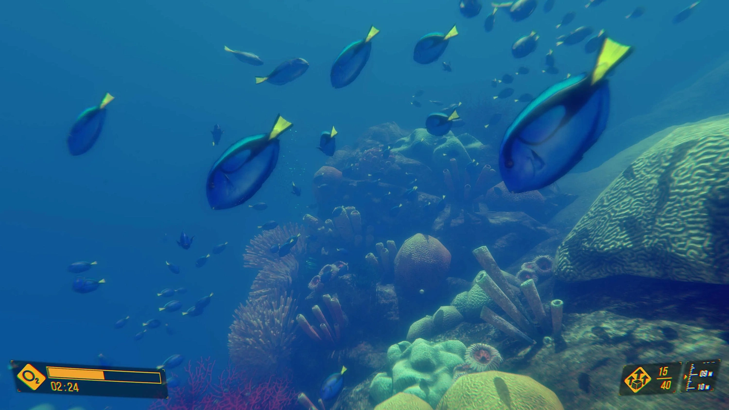 Deep Diving Adventures