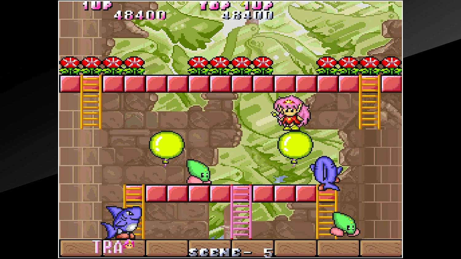 Arcade Archives Rod Landand