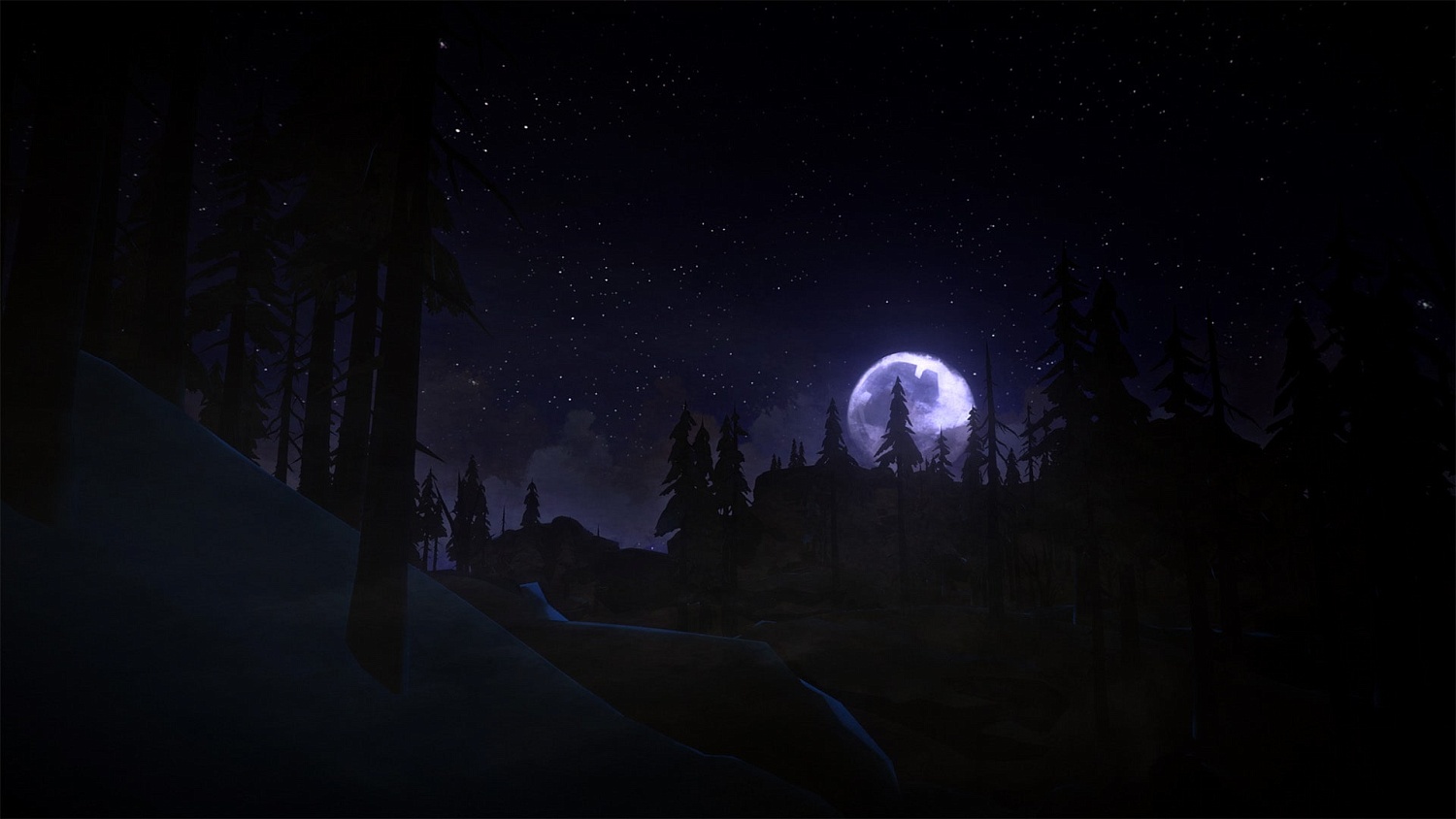 The Long Dark