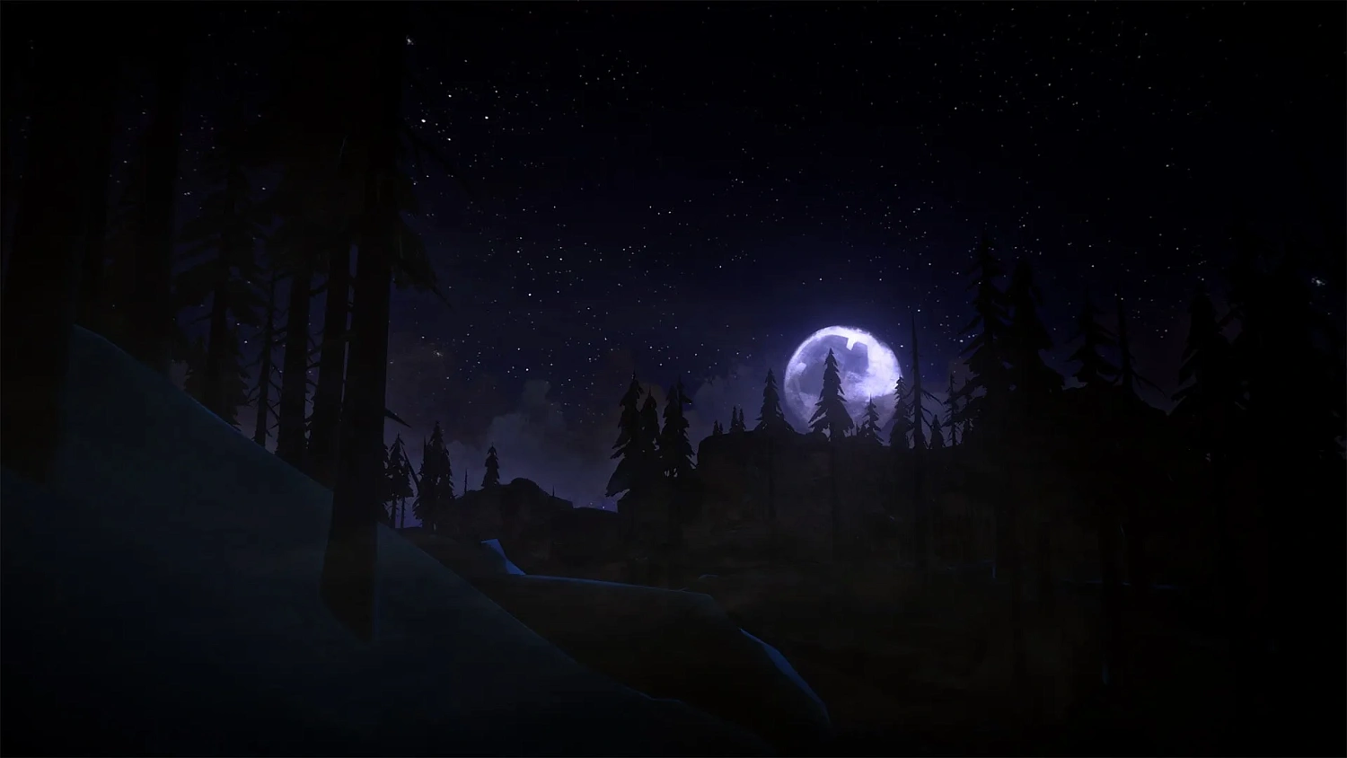The Long Dark