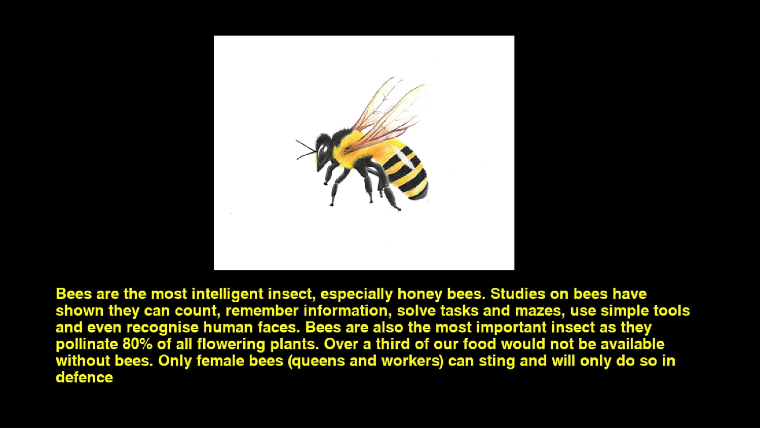 Quiz & Learn: Animals