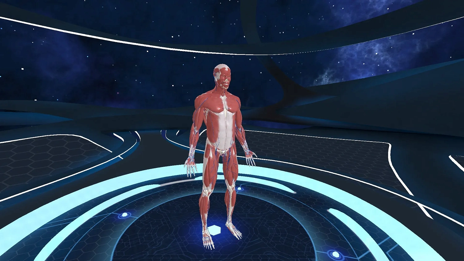Human Anatomy VR
