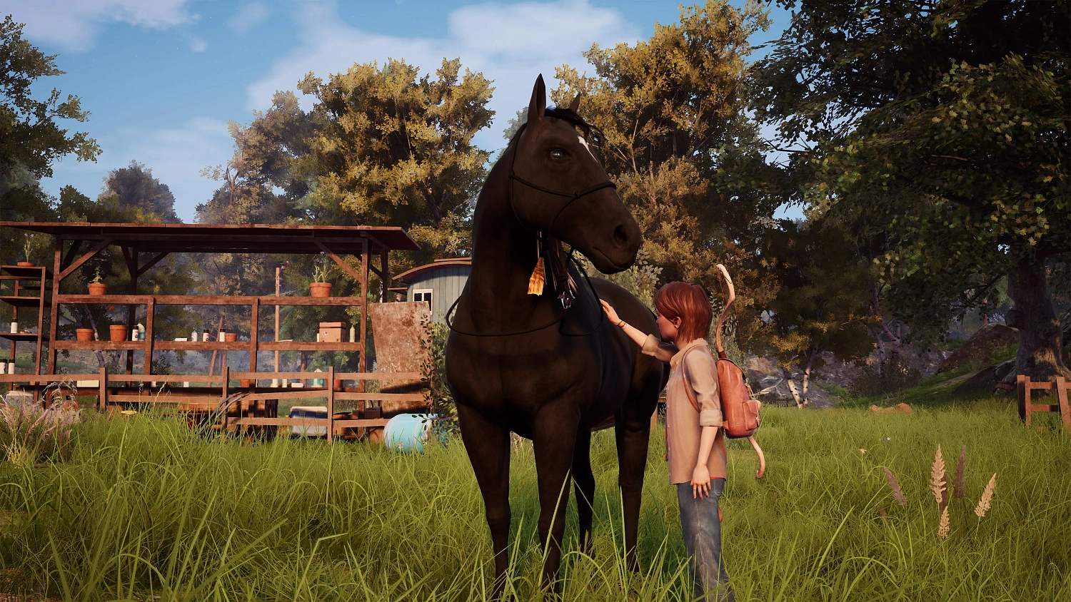 Windstorm: An Unexpected Arrival