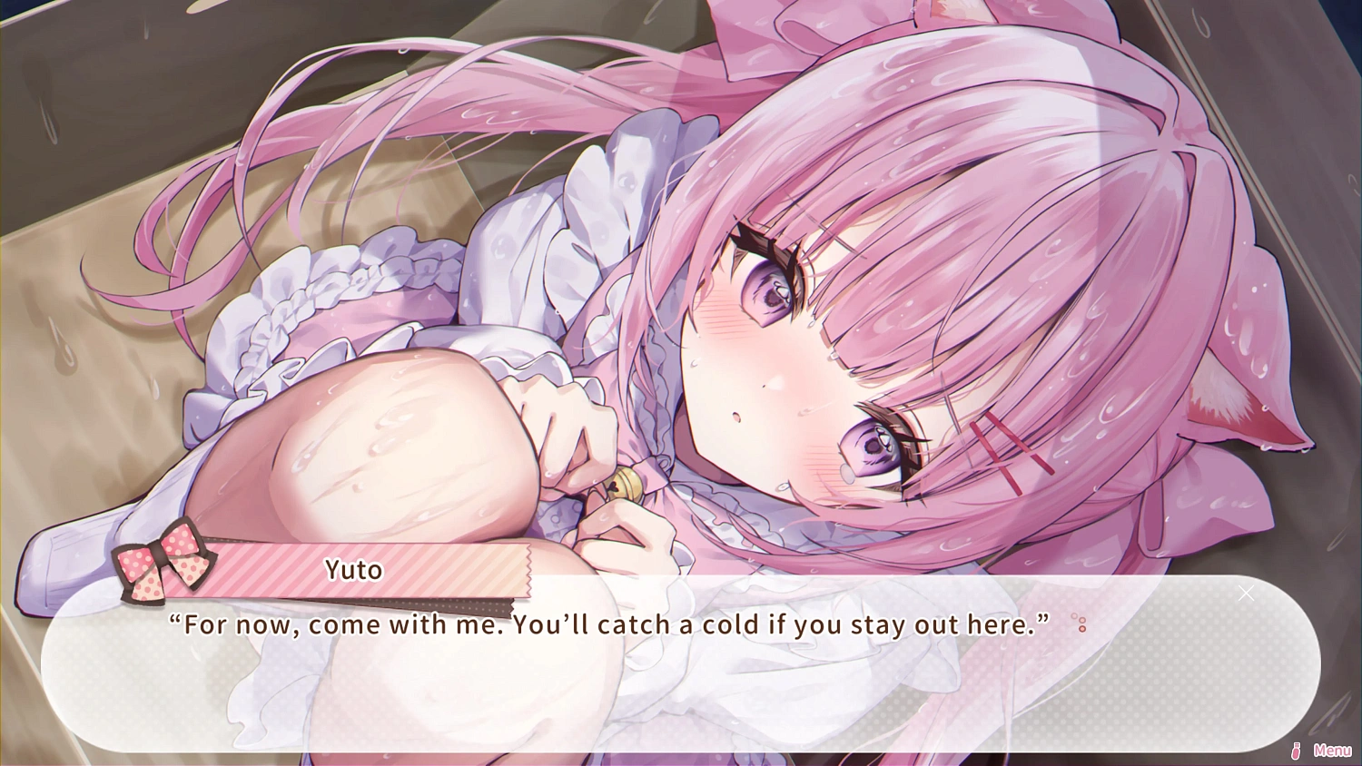 Días Nekomimi ~365 días contigo~