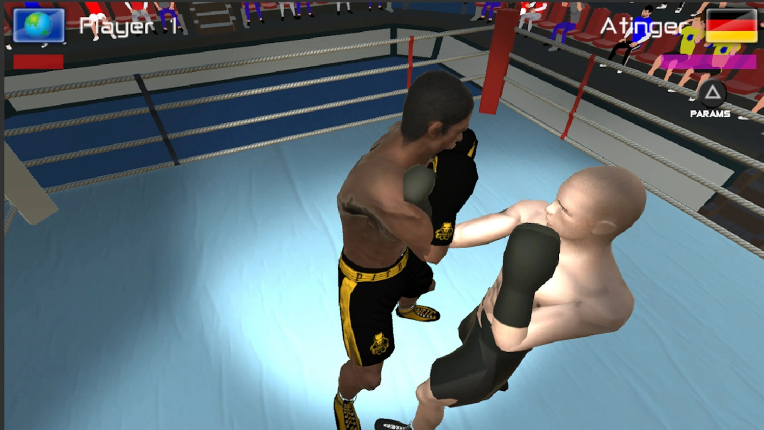 International Boxing