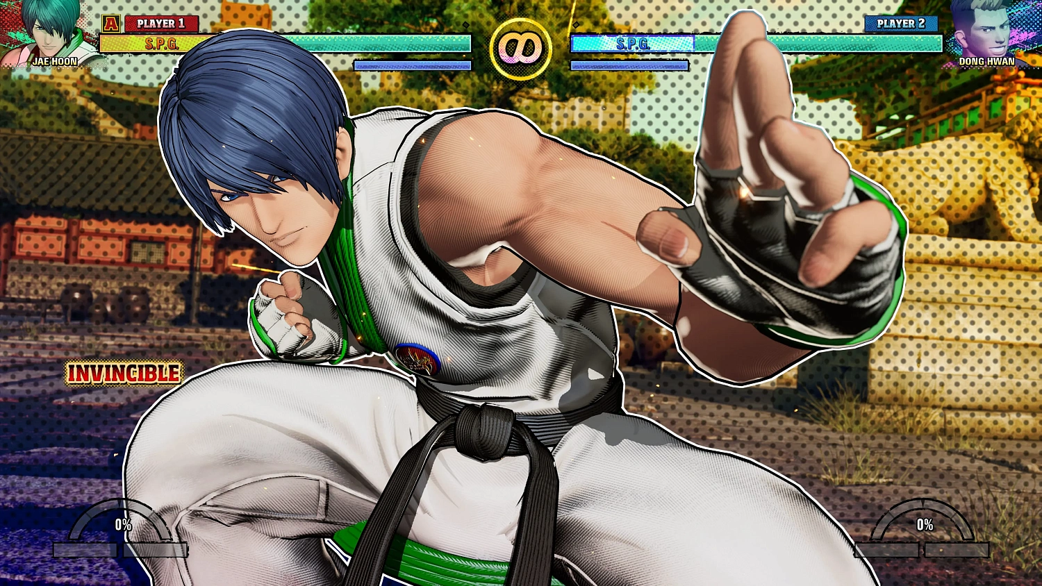 FATAL FURY: City of the Wolves