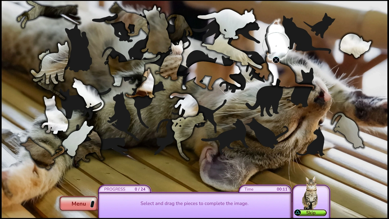 I Love Finding Cats! Collector's Edition