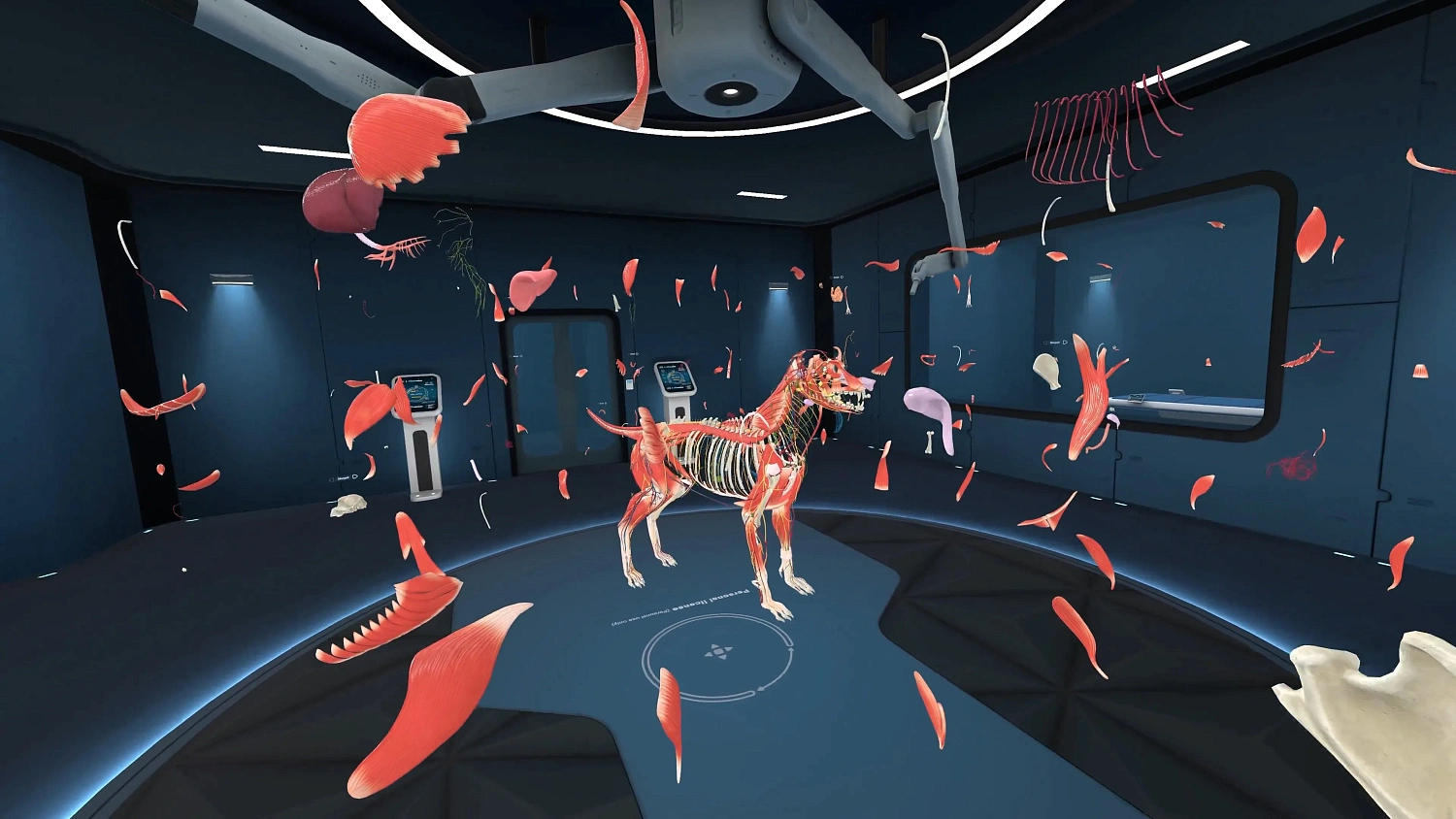 Animal Anatomy VR
