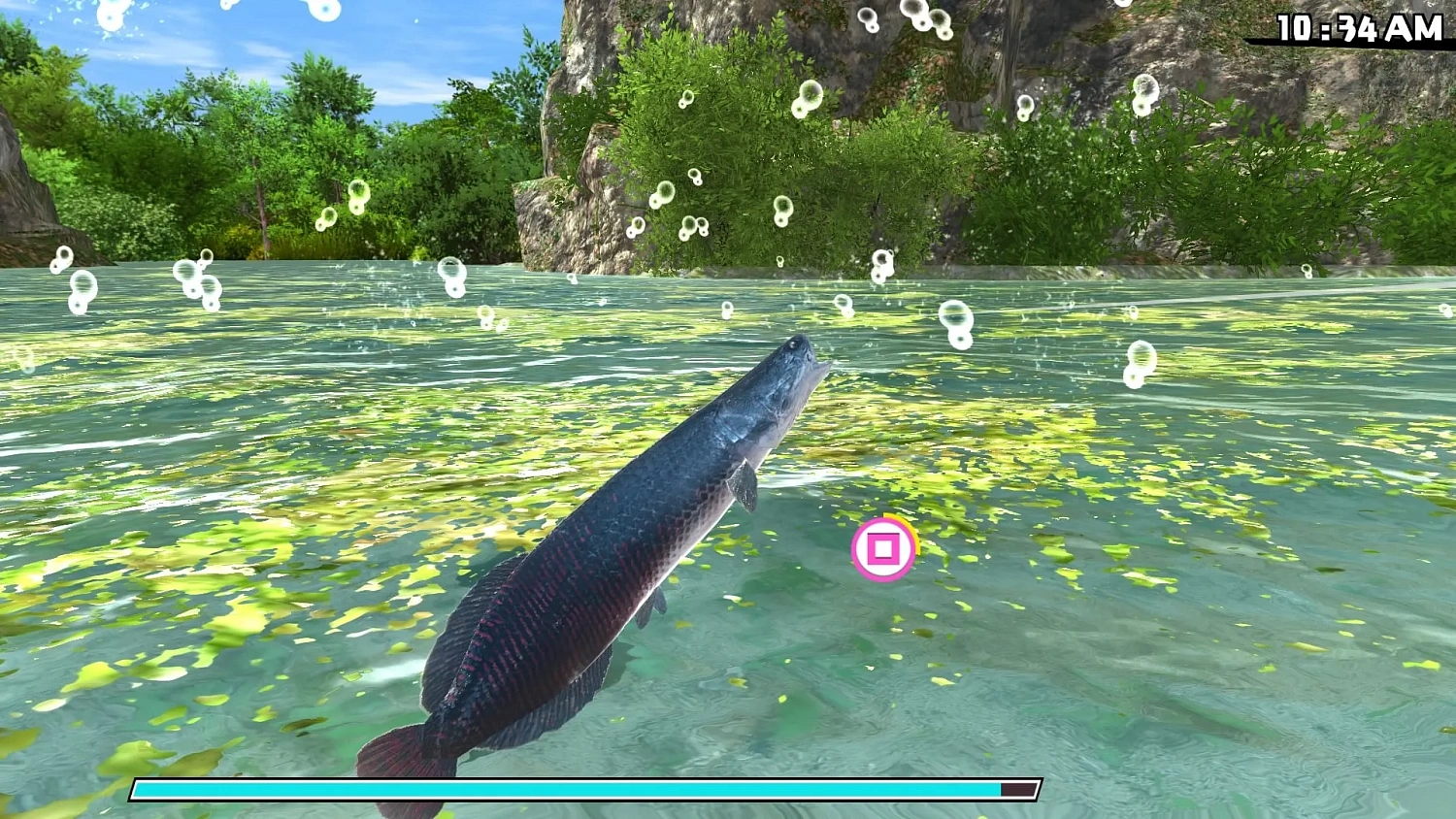 Reel Fishing: Road Trip Adventure