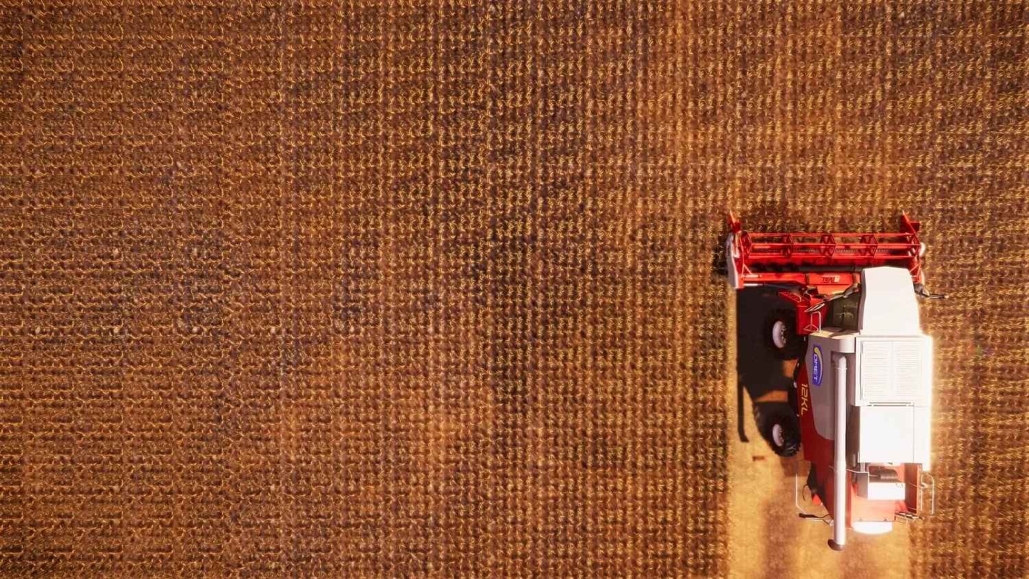 RealFarm