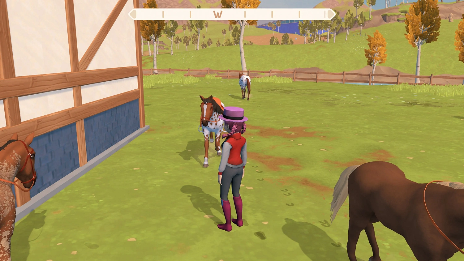 Mi Vida: con Caballos 3