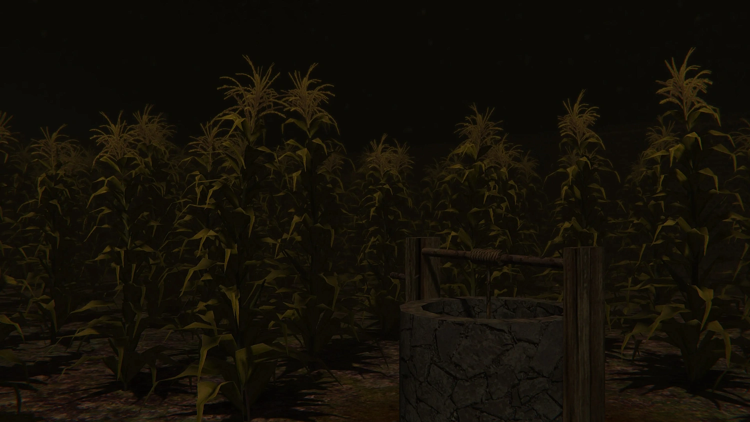 Cornfield