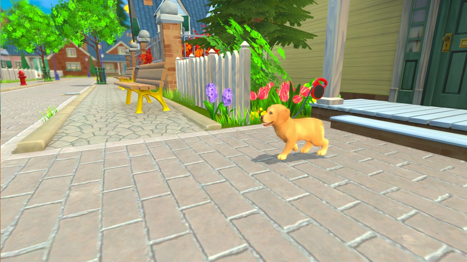 My Universe - Cachorros y gatitos